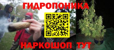 мдма Кудрово