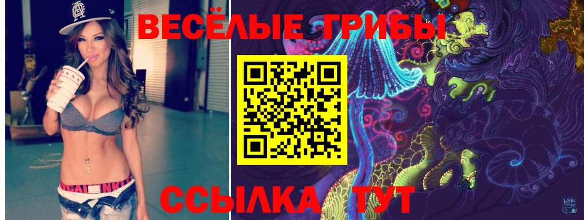 Кингисепп  Псилоцибиновые грибы мицелий  Вход с VPN 