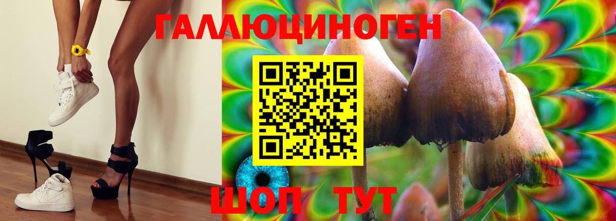 Псилоцибиновые грибы Magic Shrooms Кингисепп